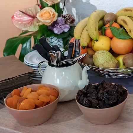 公寓式酒店 家乐中心公寓式酒店 格勒诺布尔