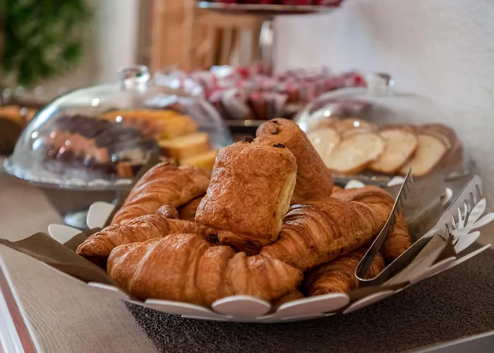 家乐中心公寓式酒店 3* 格勒诺布尔